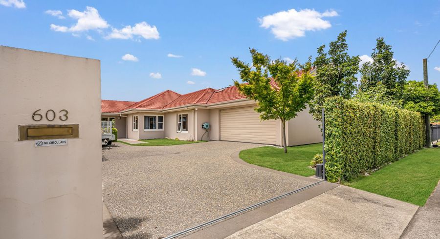  at 603 Fitzroy Ave, Mahora, Hastings, Hawke's Bay
