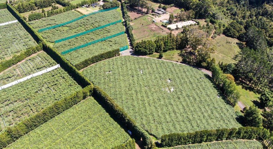  at 2412C State Highway 10, Kerikeri, Far North, Northland