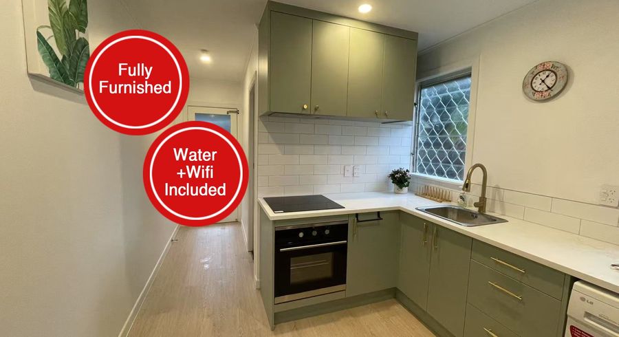  at 2/51 Wynyard Road, Mount Eden, Auckland City, Auckland