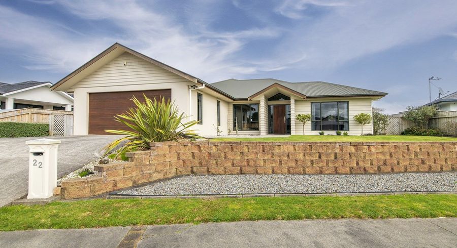  at 22 Weld Street, Levin, Levin