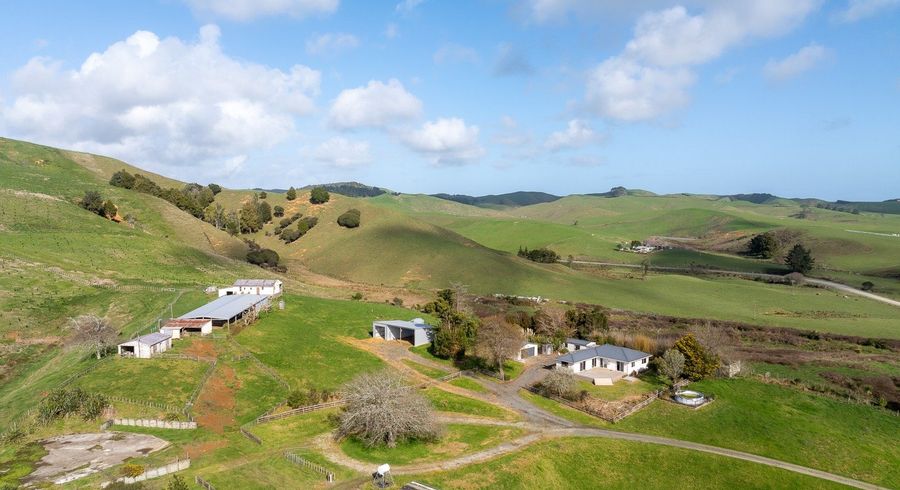  at Lot 1 550 Dixon Road, Te Akau, Waikato, Waikato