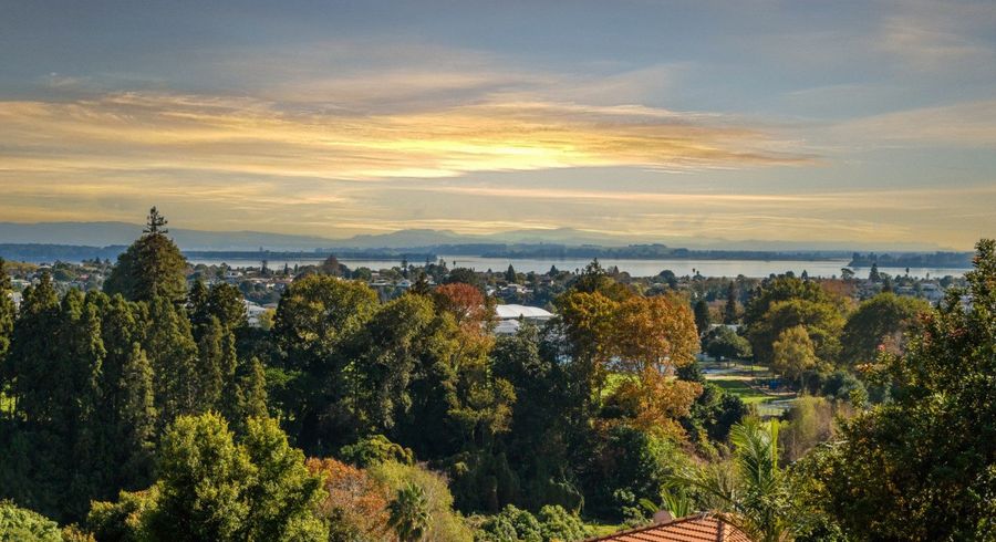  at 16 Dysart Road, Otumoetai, Tauranga, Bay Of Plenty