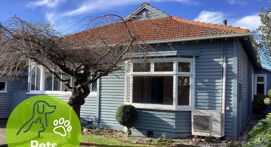  at 134 Springfield Road, St. Albans, Christchurch City, Canterbury