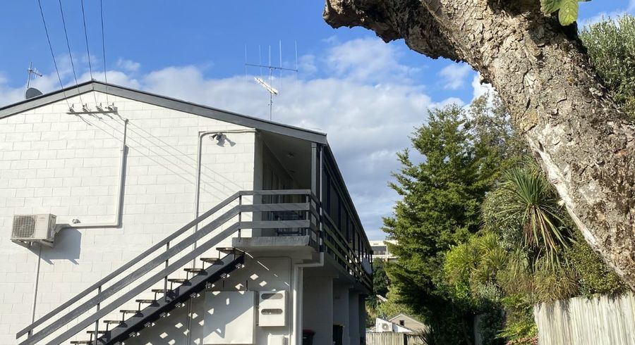  at 8/17 Opoia Road, Claudelands, Hamilton, Waikato