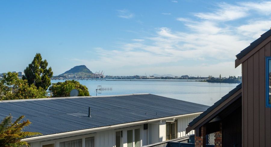  at 19A Vine Avenue, Maungatapu, Tauranga