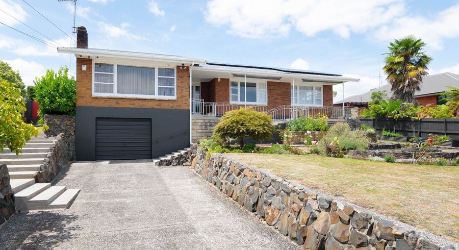 at 4 Thomson Avenue, Dinsdale, Hamilton