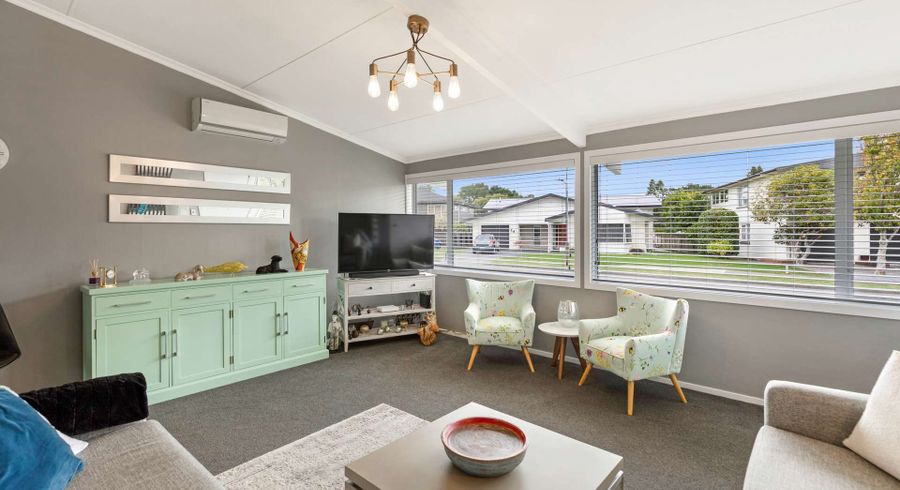  at 11 Opawa Place, Terrace End, Palmerston North, Manawatu / Whanganui