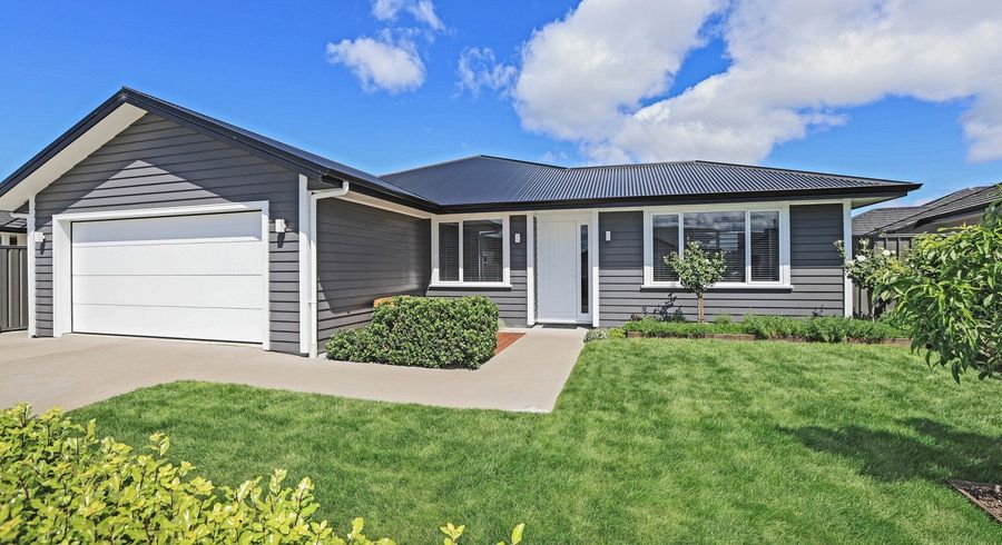  at 19 Manapouri Street, Poraiti, Napier, Hawke's Bay