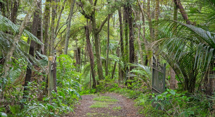  at 402 Ponga Road, Papakura