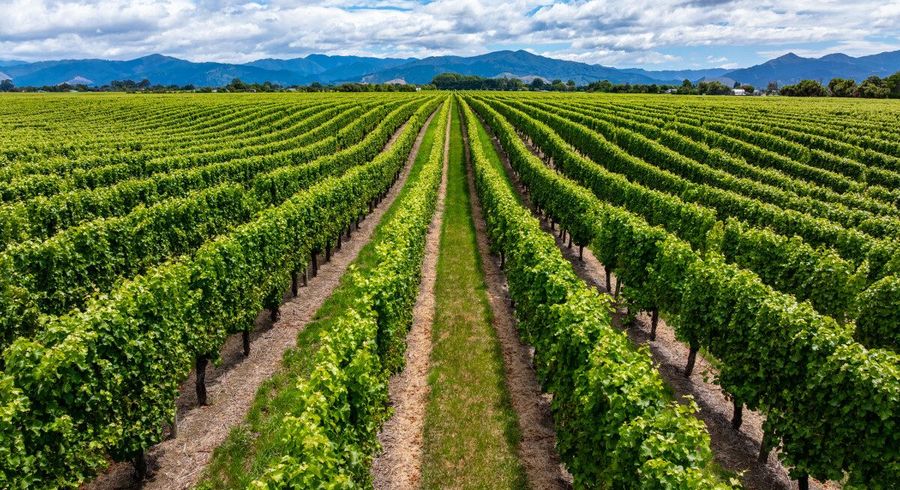  at 92 Lower Wairau Road, Grovetown, Marlborough, Marlborough