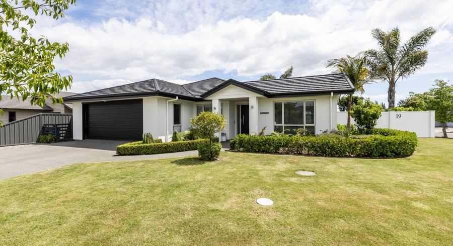  at 19 Lochhead Street, Mahora, Hastings