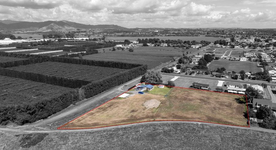  at 161 Duke Street, Opotiki, Opotiki, Bay Of Plenty
