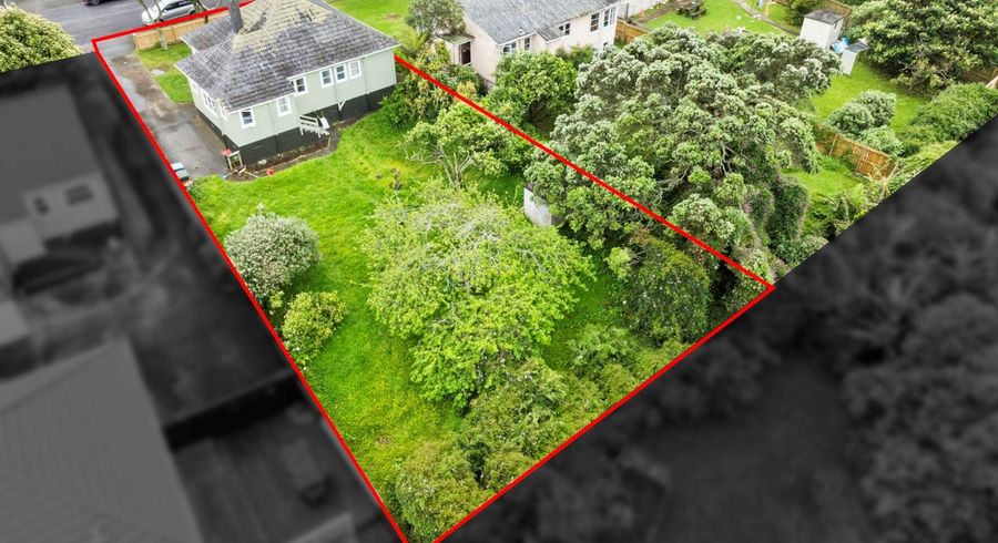  at 20 Court Crescent, Panmure, Auckland City, Auckland