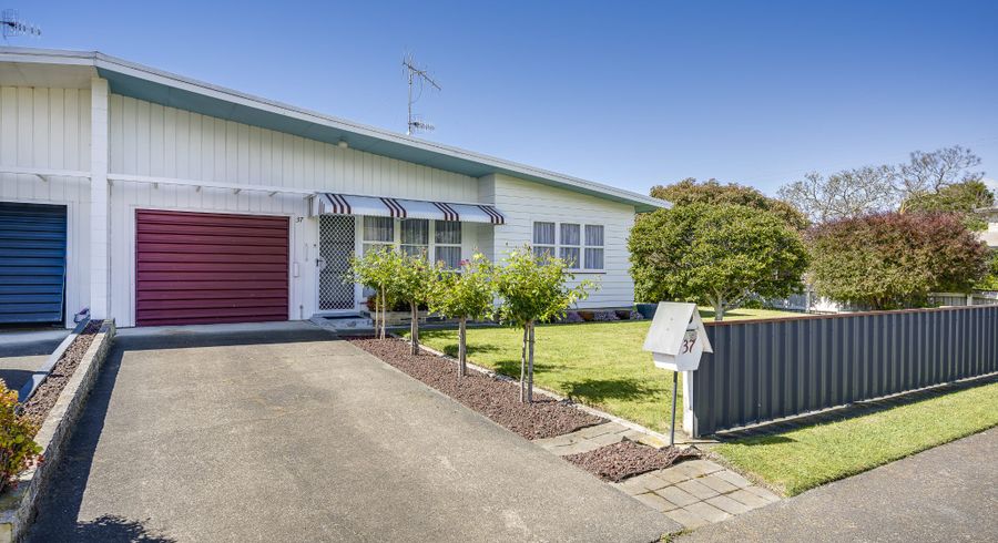  at 37 Morgan Avenue, Marewa, Napier, Hawke's Bay