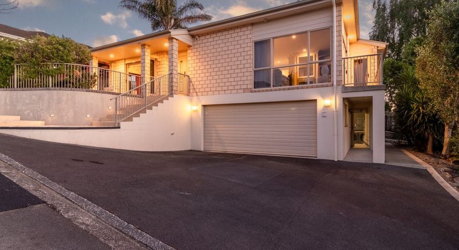  at 20A Alison Street, Hamilton Lake, Hamilton, Waikato