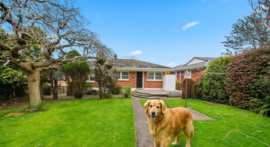  at 40 Chestnut Road, Papatoetoe, Manukau City, Auckland