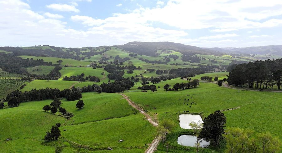  at 65 Proud Road, Dargaville, Kaipara, Northland