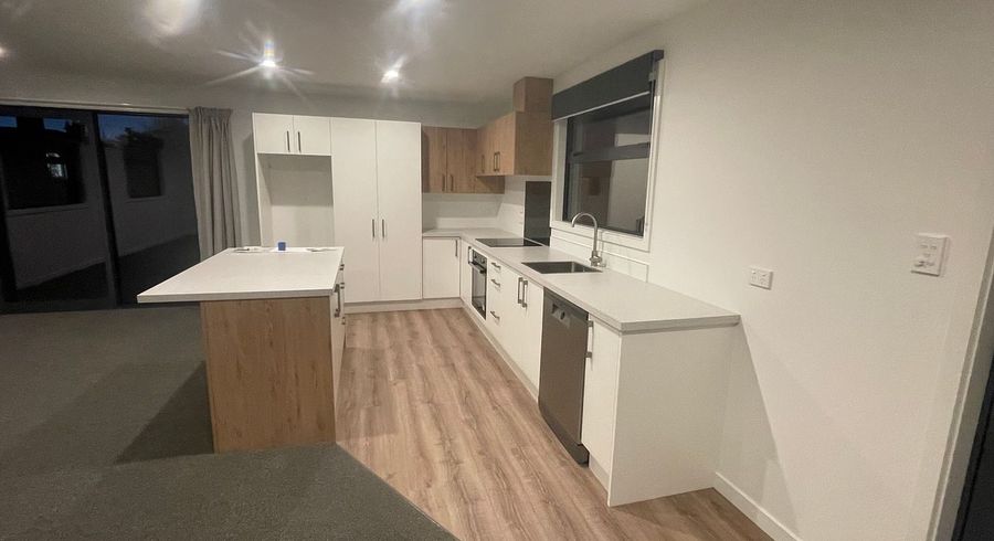  at 171 Archibald Street, Tinwald, Ashburton, Canterbury