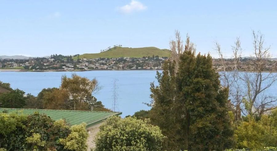  at 110 Carlton Street, Hillsborough, Auckland City, Auckland