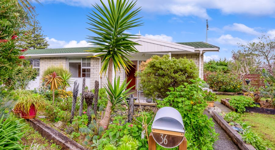  at 36 Hemara Street, Waikanae Beach, Waikanae