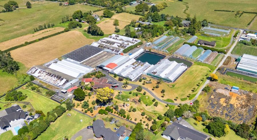  at 123 Jesmond Road, Drury, Papakura, Auckland