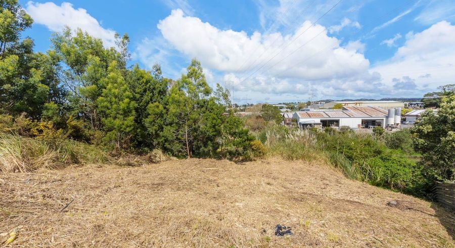  at 35 Alanbrooke Crescent, Avondale, Auckland City, Auckland