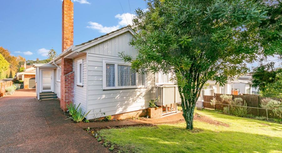  at 17 Carlton Street, Hillsborough, Auckland City, Auckland