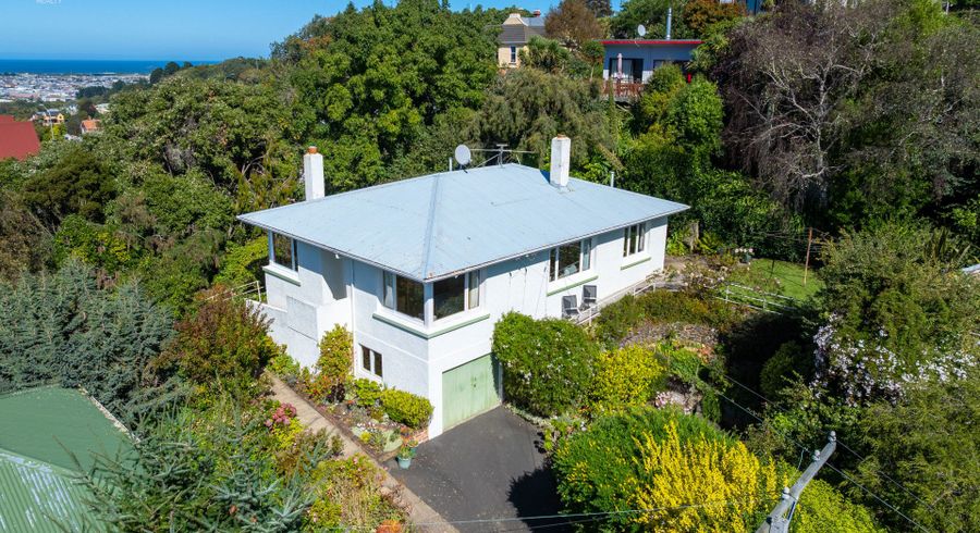  at 43 Sutherland Street, Dunedin Central, Dunedin