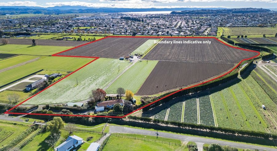  at 139 Waverley Road, Meeanee, Napier, Hawke's Bay