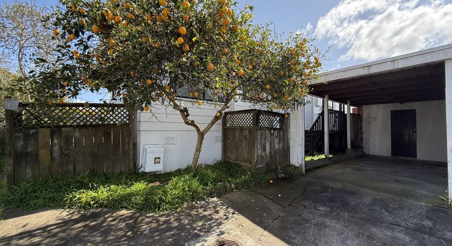  at 9B Halleys Place, Mount Roskill, Auckland City, Auckland
