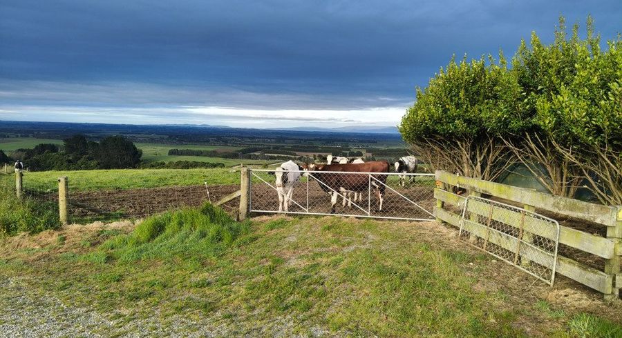  at 137 Kahikatea Drive, Winton, Southland, Southland