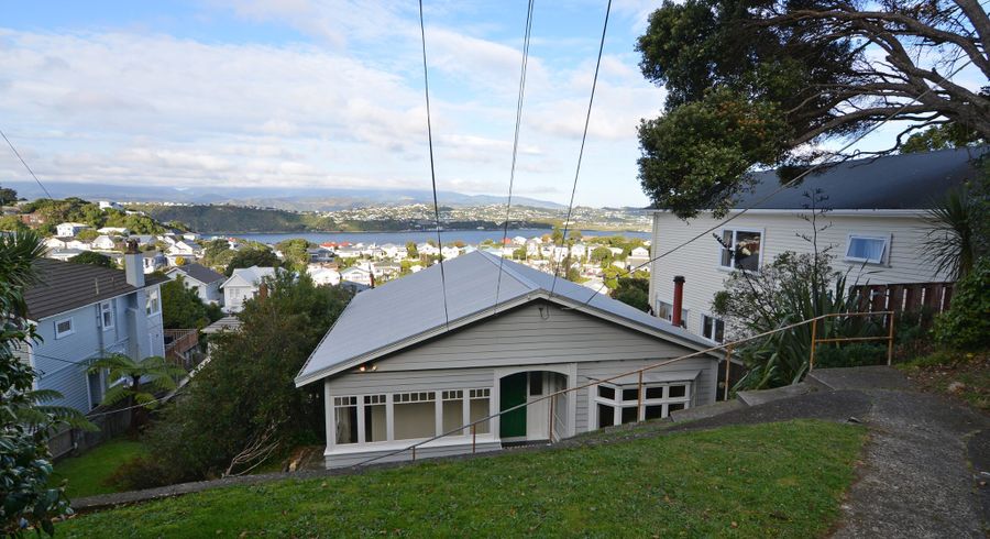  at 85 Rakau Road, Hataitai, Wellington, Wellington