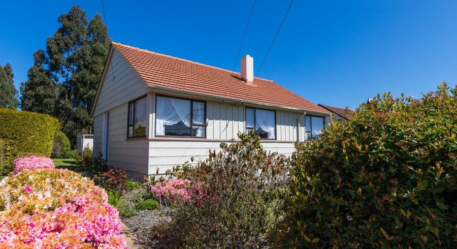 at 19 Burgess Street, Green Island, Dunedin