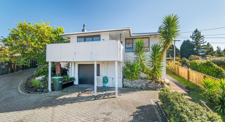  at 20 Nikau Street, Springfield, Rotorua, Bay Of Plenty