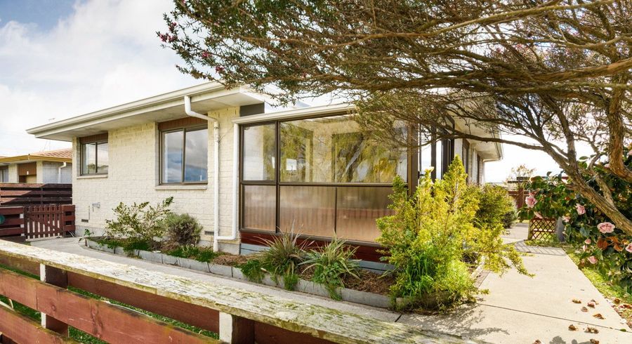  at 8B Monrad Street, Highbury, Palmerston North