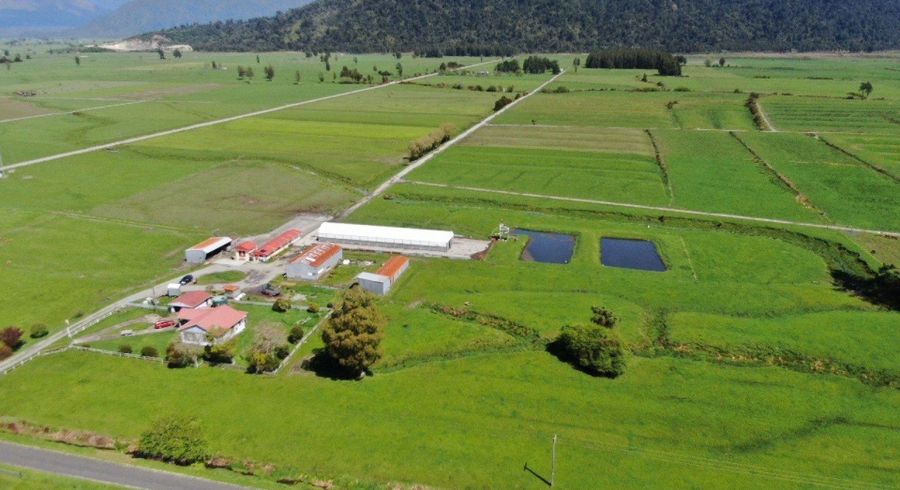  at 19 Cropp Road, Kowhitirangi, Westland, West Coast