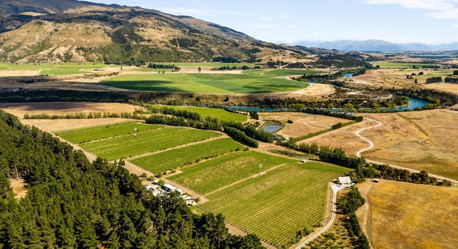  at 413 Maori Point Road, Tarras, Central Otago, Otago