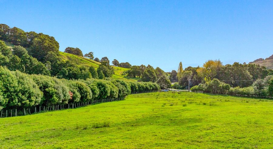  at 704 Whangaripo Valley Road, Whangaripo, Rodney, Auckland