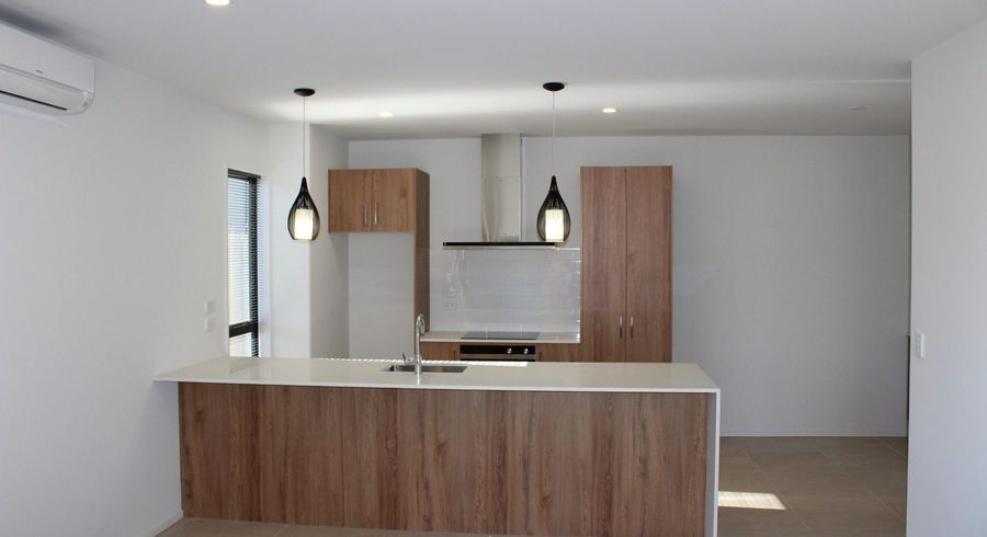  at 1/484 Manchester Street, St Albans, Christchurch