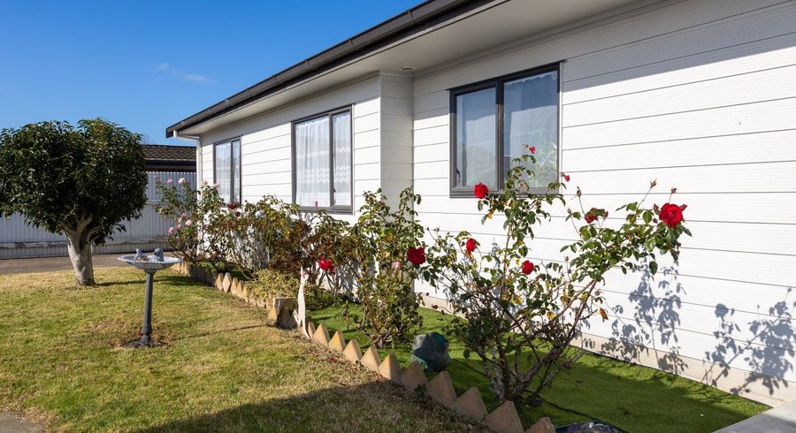  at 12A Clark Avenue, Pirimai, Napier