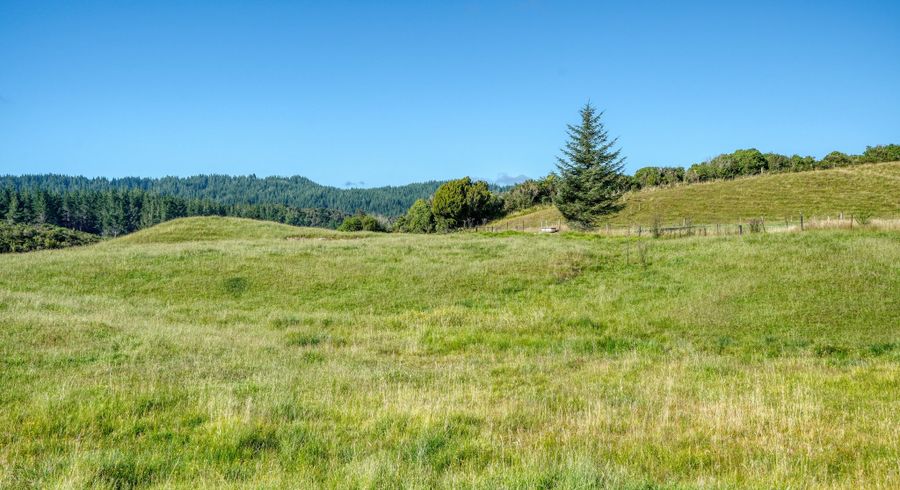  at 0 Lake Kaniere Rd, Hokitika
