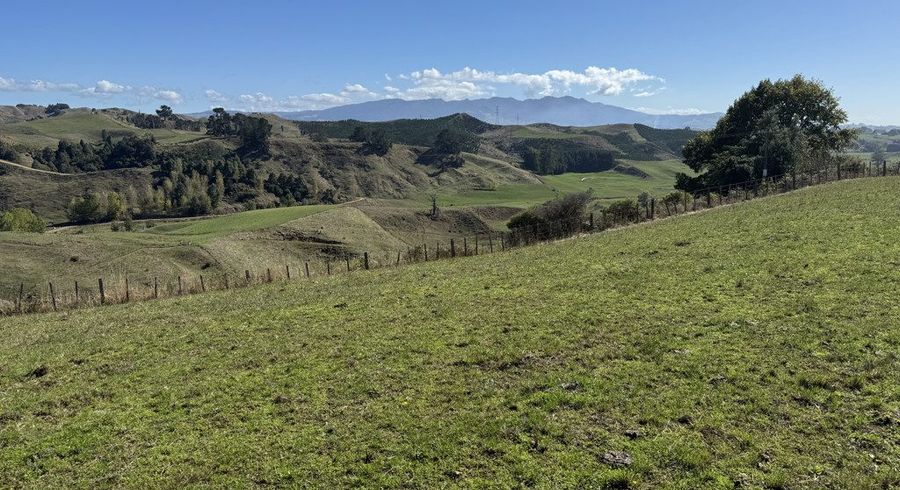  at 133 Owaikura Road, Otorohanga, Otorohanga, Waikato