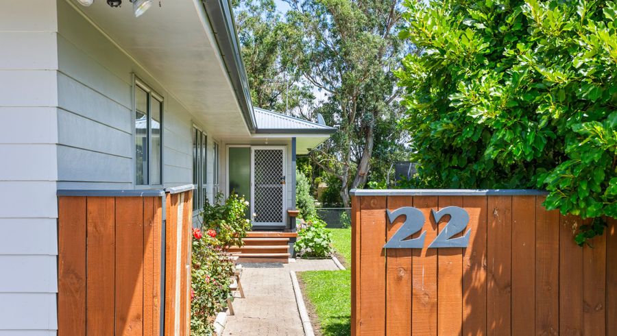  at 22 Pine Street, Mangapapa, Gisborne