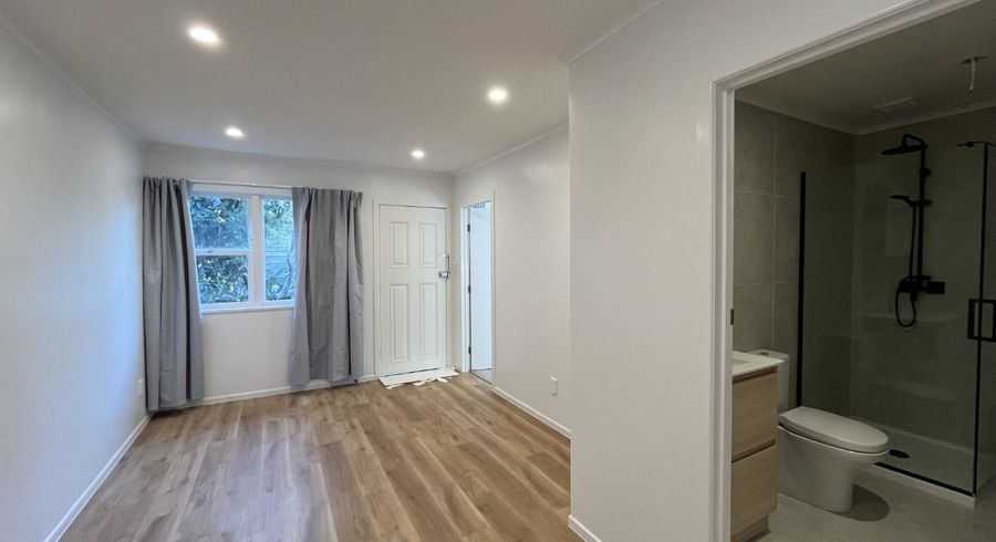  at 3/116 Grange Road, Mount Eden, Auckland
