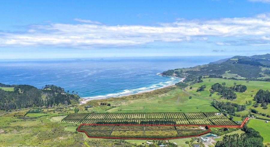  at 25 Orua Lane, Whenuakite, Thames-Coromandel, Waikato