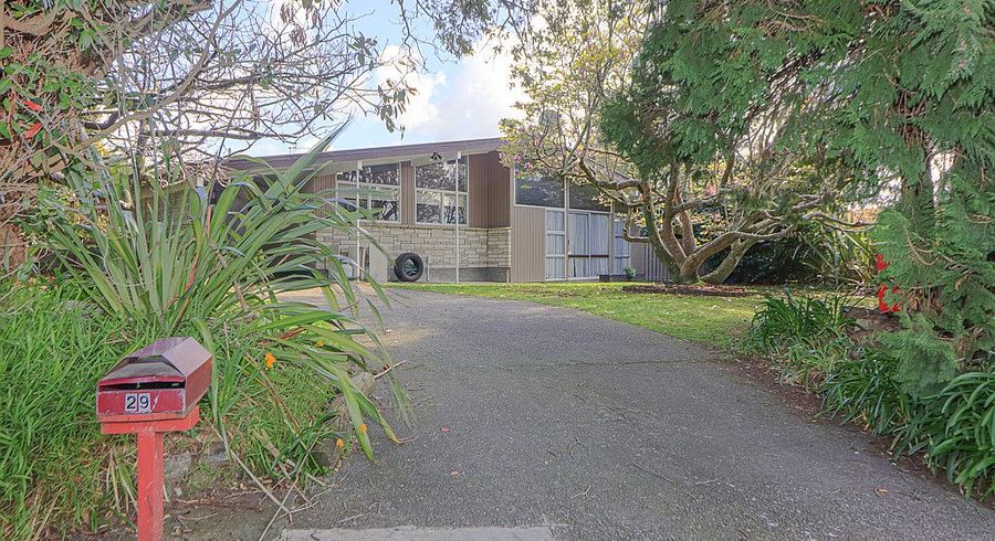  at 29 Argyle Avenue, Levin, Levin