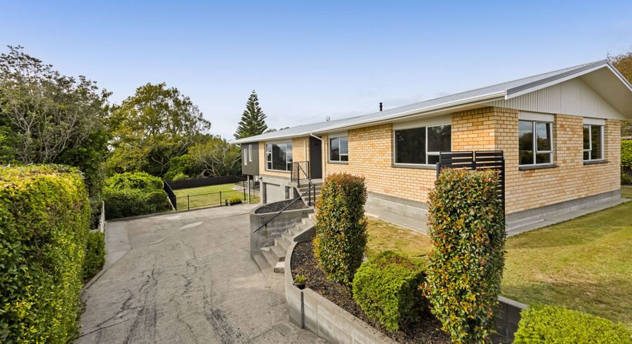  at 20 Truby King Street, Merrilands, New Plymouth, Taranaki