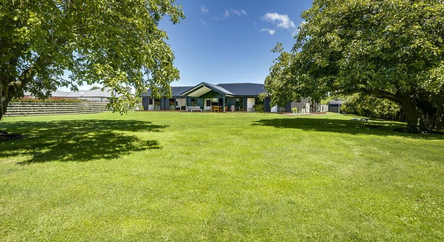  at 252 Meeanee Road, Meeanee, Napier, Hawke's Bay