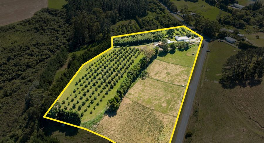  at 34 Shady Lane, Welcome Bay, Tauranga, Bay Of Plenty