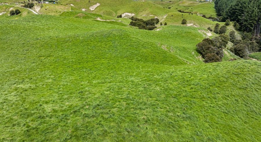  at 539 Flag Range Road, Sherenden, Hastings, Hawke's Bay
